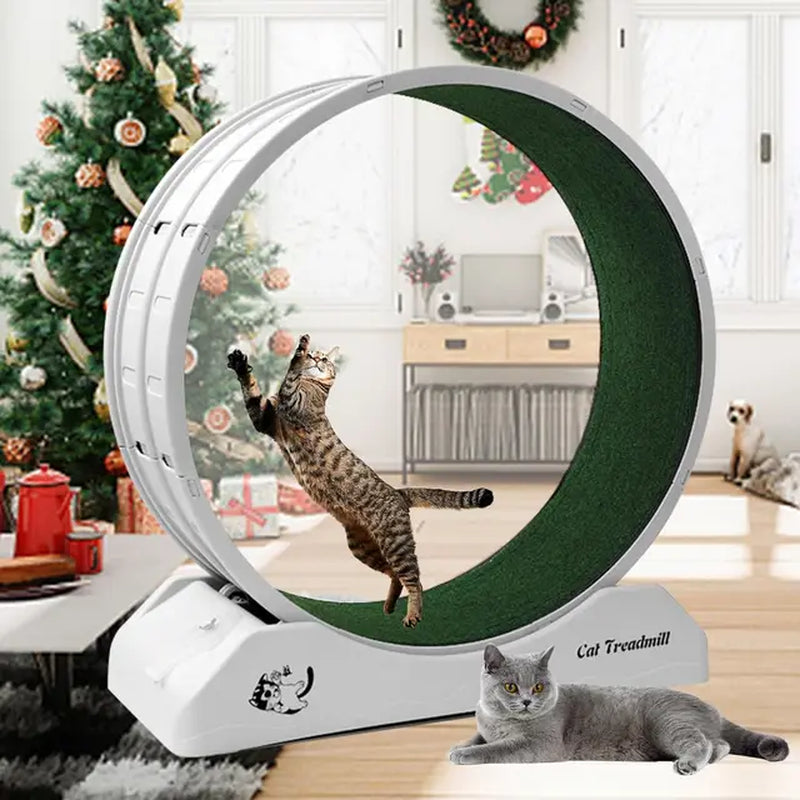 "Cat Treadmill Wheel Exerciser for Improved Feline Health and Enrichment"