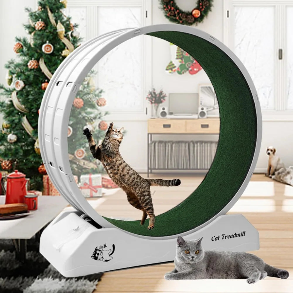 "Cat Treadmill Wheel Exerciser for Improved Feline Health and Enrichment"