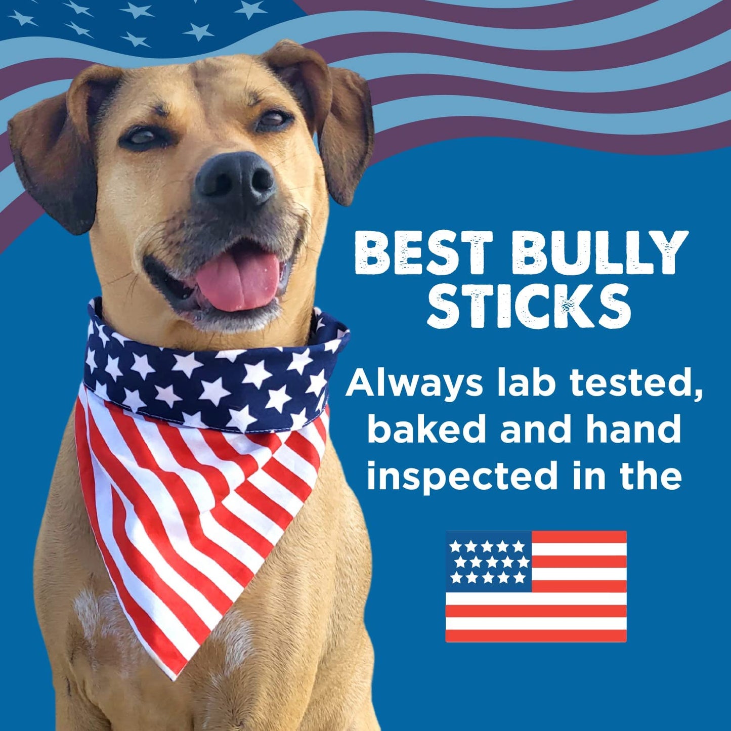 4 Inch All-Natural Bully Sticks for Dogs - 4” Fully Digestible, 100% Grass-Fed Beef, Grain and Rawhide Free | 8 Oz