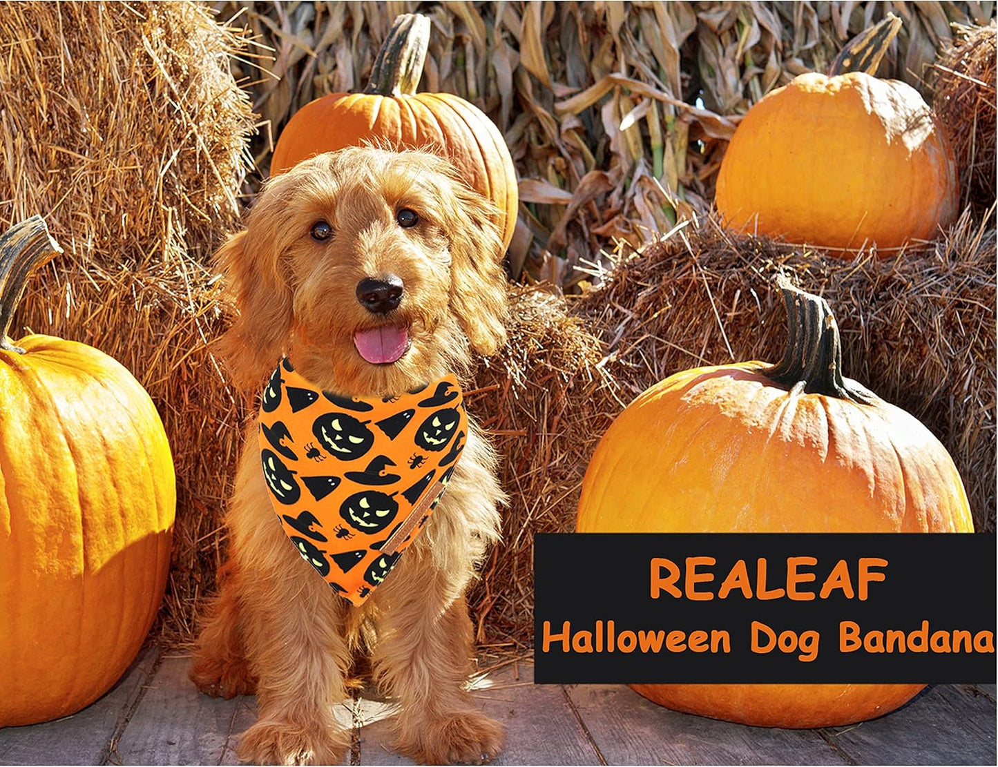 Halloween Dog Bandanas 2 Pack, Pumpkin and Spider Web Bibs, Triangle Reversible Fall Pet Scarf, Premium Durable Fabric, Adjustable Fit (Large)