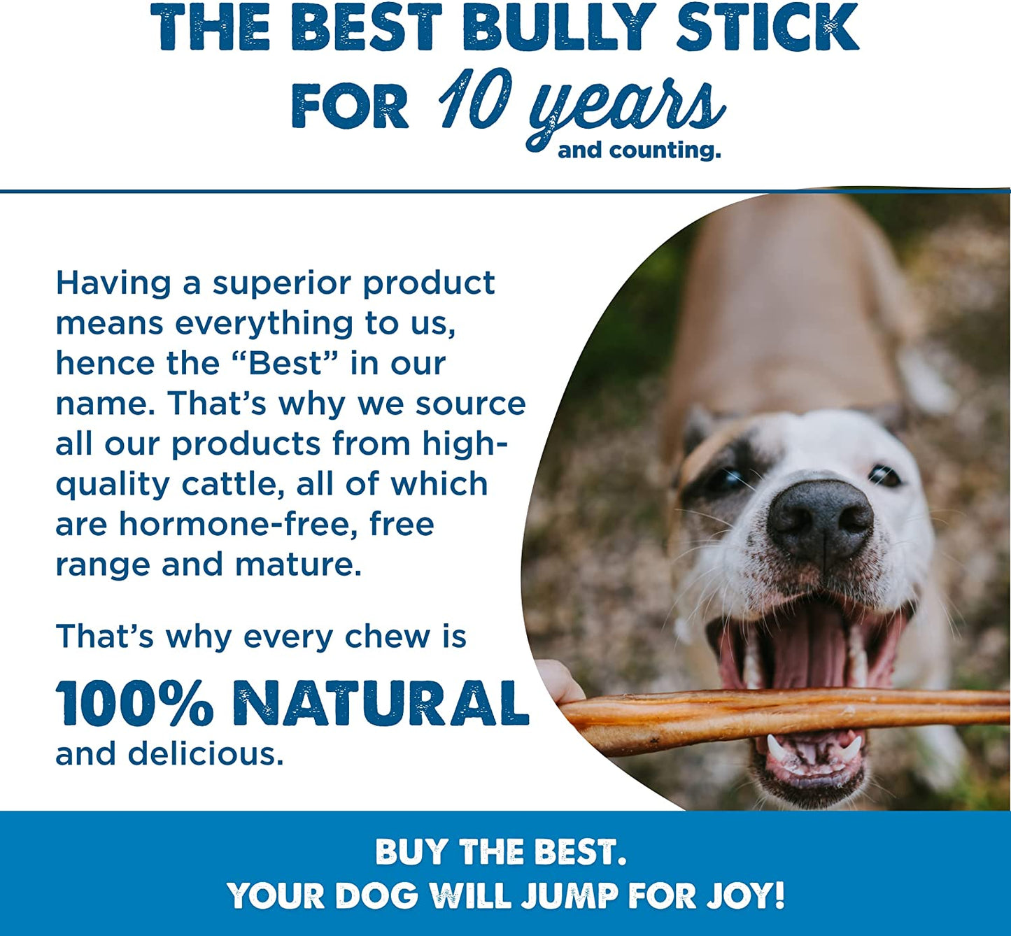 4 Inch All-Natural Bully Sticks for Dogs - 4” Fully Digestible, 100% Grass-Fed Beef, Grain and Rawhide Free | 8 Oz