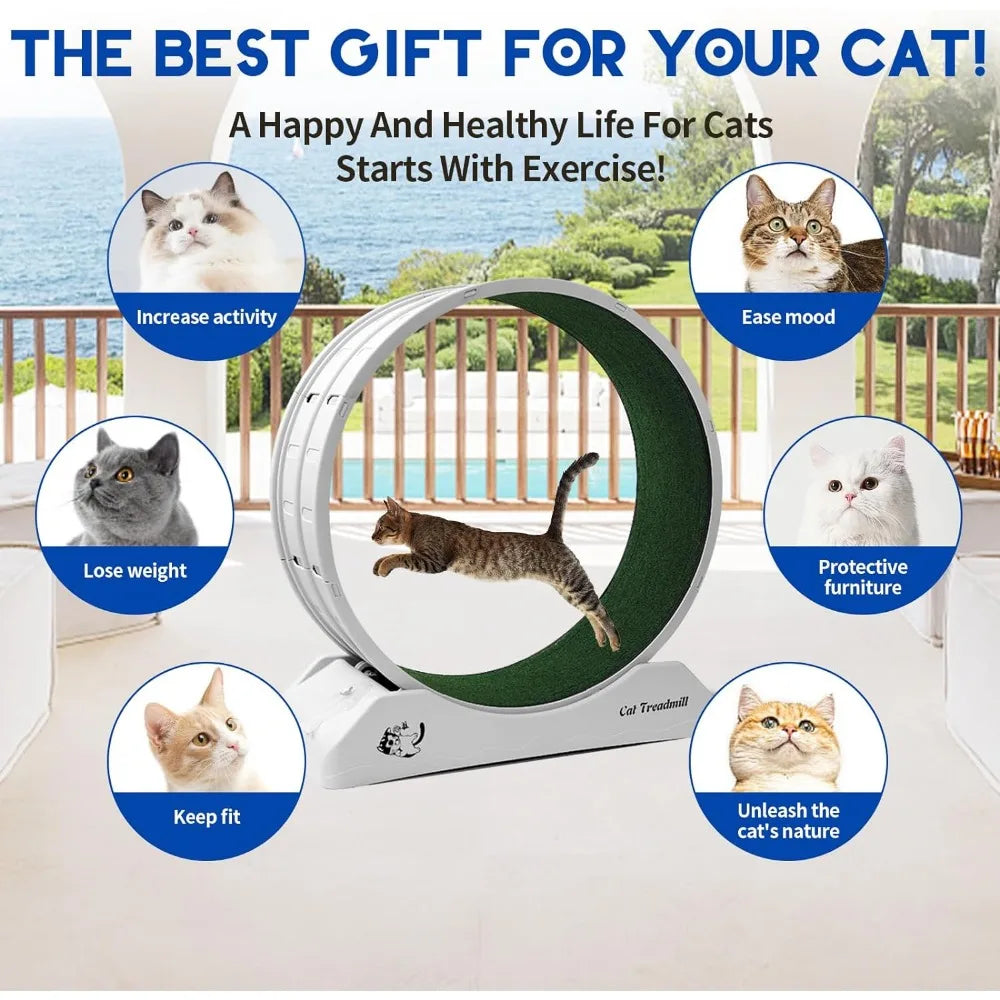 "Cat Treadmill Wheel Exerciser for Improved Feline Health and Enrichment"