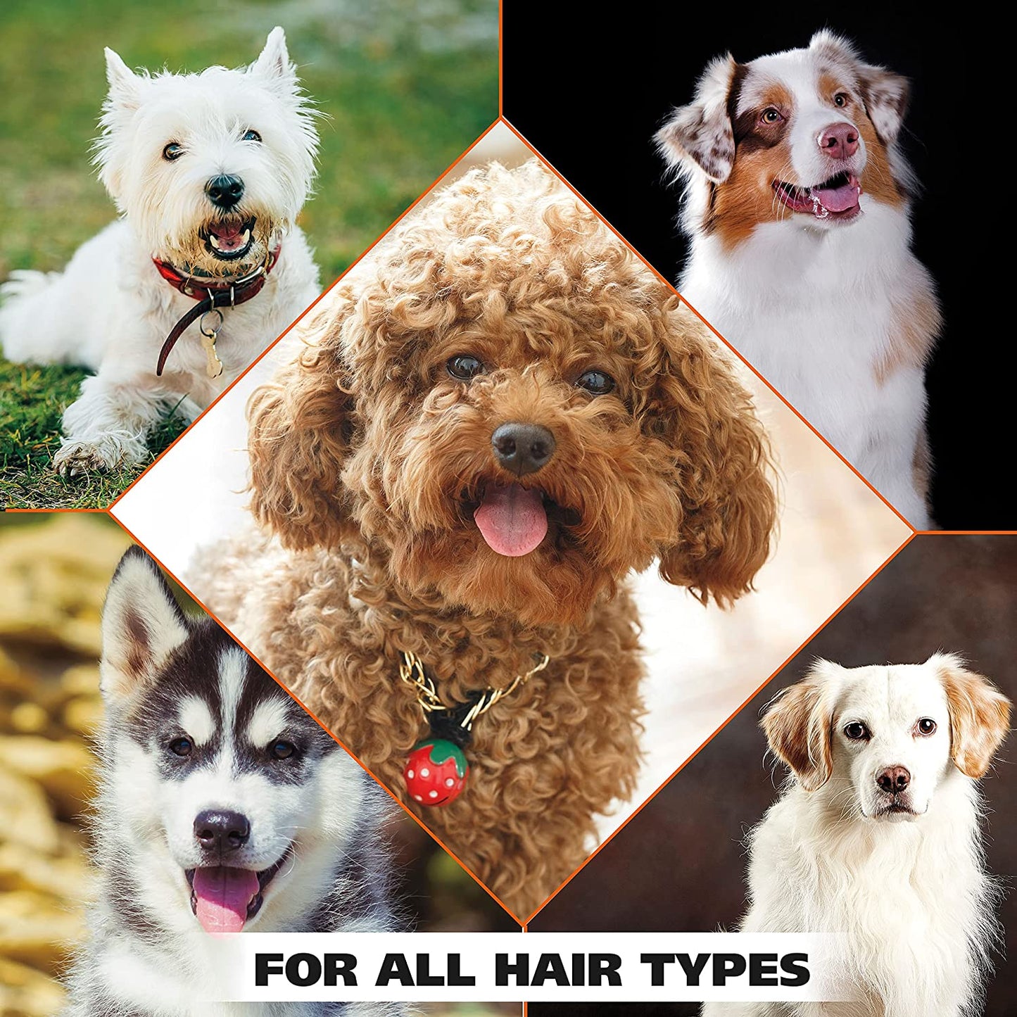 USA 4-In-1 Calming Pet Shampoo for Dogs – Cleans, Conditions, Detangles, & Moisturizes with Lavender Chamomile - Pet Friendly Formula – 64 Oz - Model 821000-050