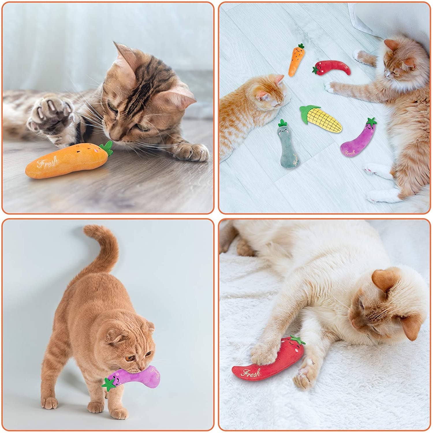 Interactive Cat Toys.