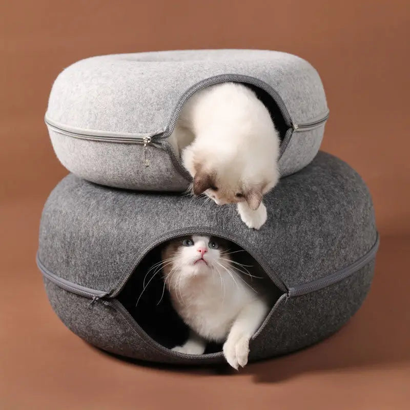 Best Cat Bed & Furniture.