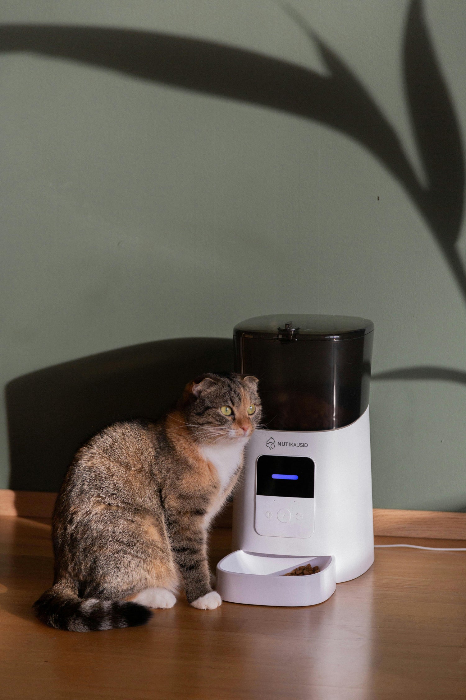 Smart Automatic Pet Feeders & Dispensers & Watering Supplies.