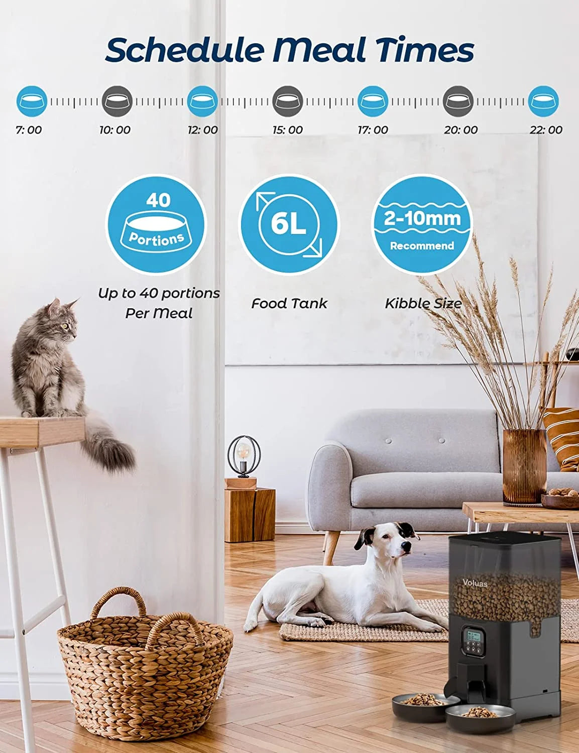 Automatic Cat Feeders for Two Cats, Double Pet Feeder with 2 Stainless Steel Bowls,6L Timed Cat Feeder with Memory Function, Pet Food Dish