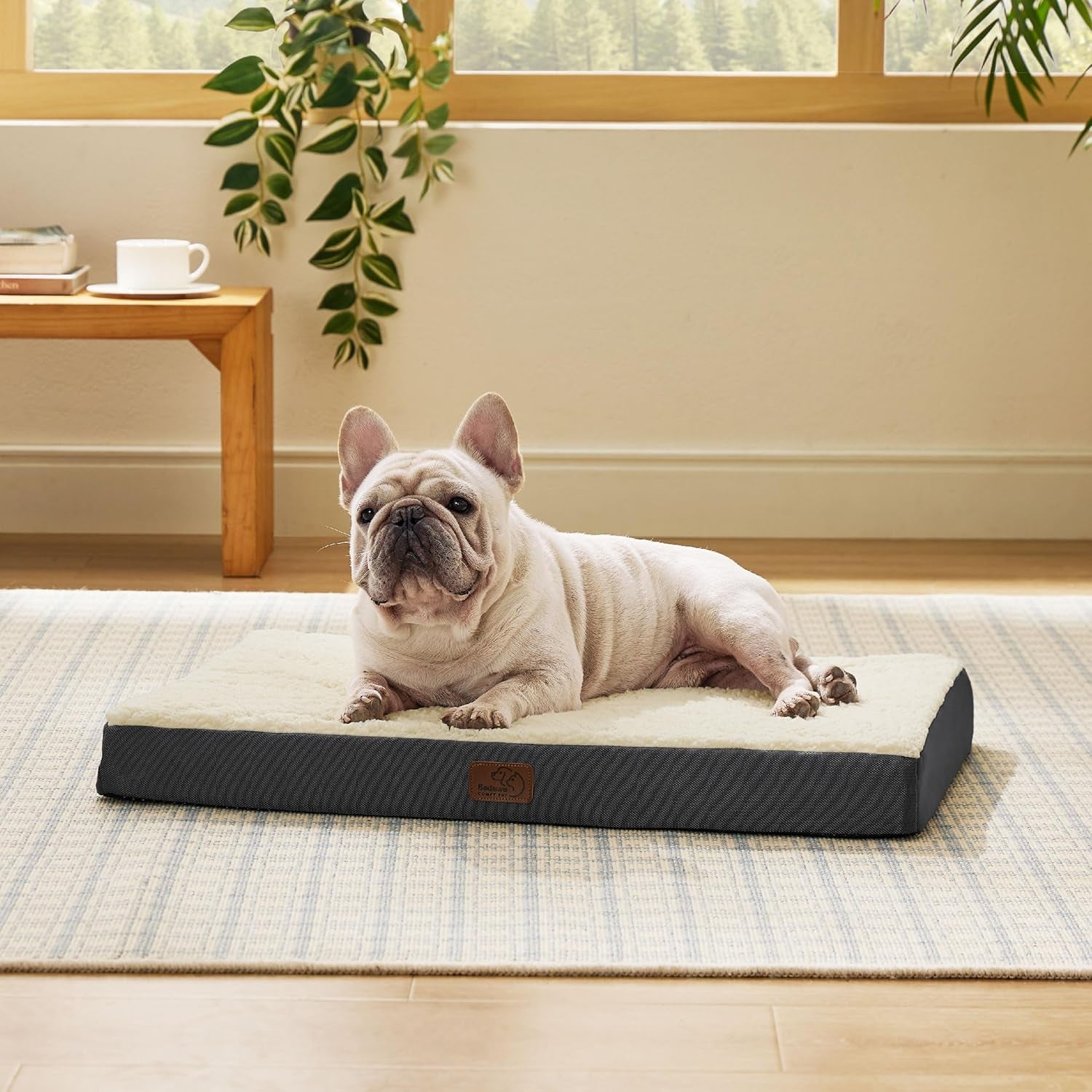 Dog Bed Medium Size Dog - Orthopedic Flat Puppy Beds with Removable Washable Cover, Egg Crate Foam Pet Mat, Suitable for Pet up to 35 Lbs