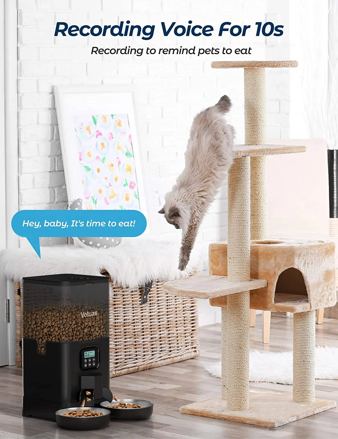 Automatic Cat Feeders for Two Cats, Double Pet Feeder with 2 Stainless Steel Bowls,6L Timed Cat Feeder with Memory Function, Pet Food Dish