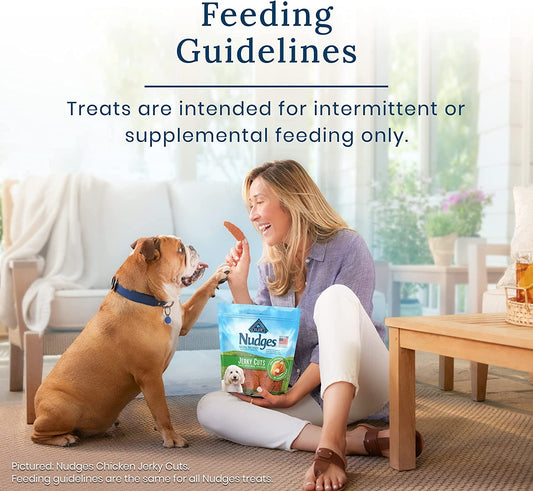 Nudges Jerky Cuts Natural Dog Treats, Chicken, 16Oz Bag