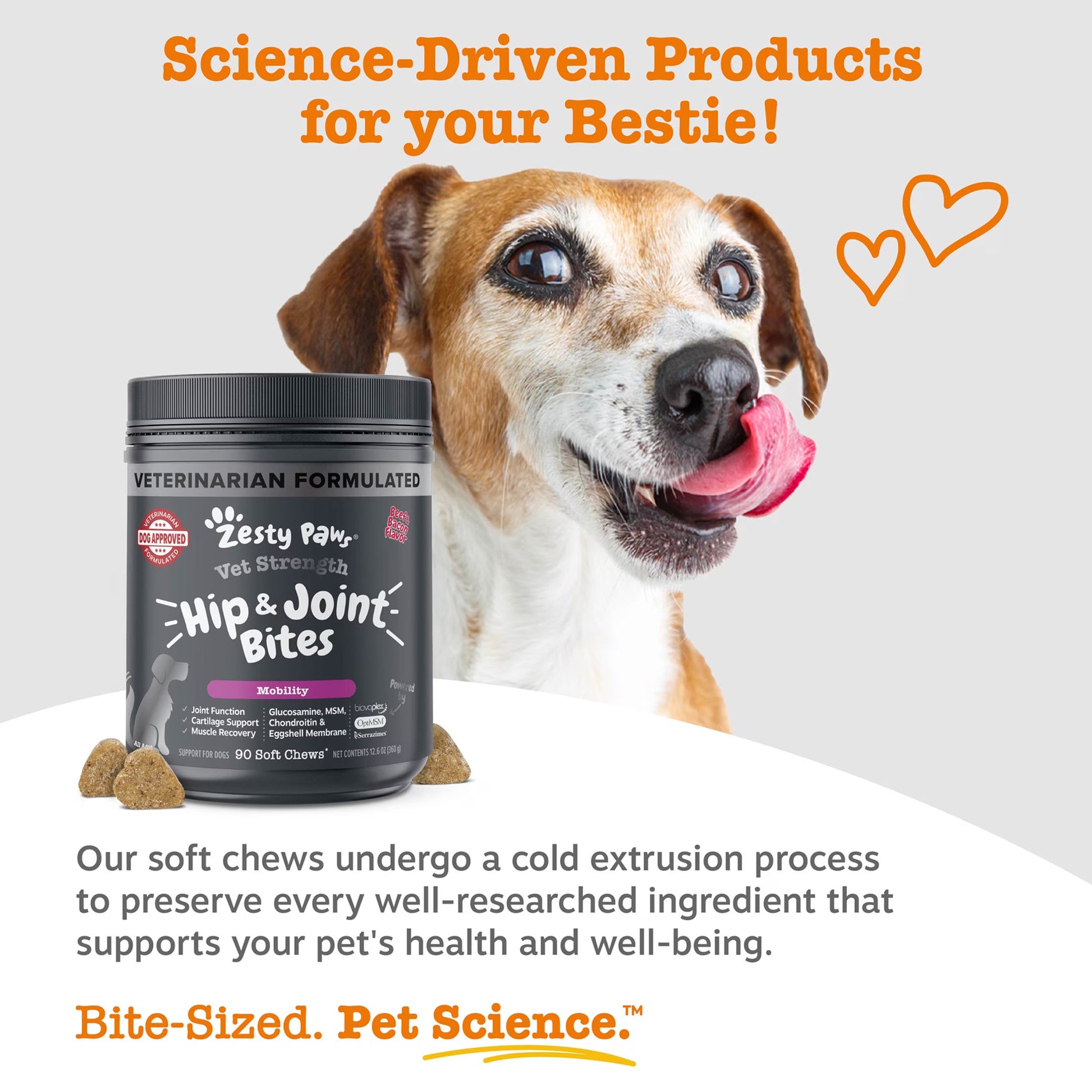 Vet Strength Hip & Joint Bites Beef & Bacon Flavor Dog Supplement, 90 Count