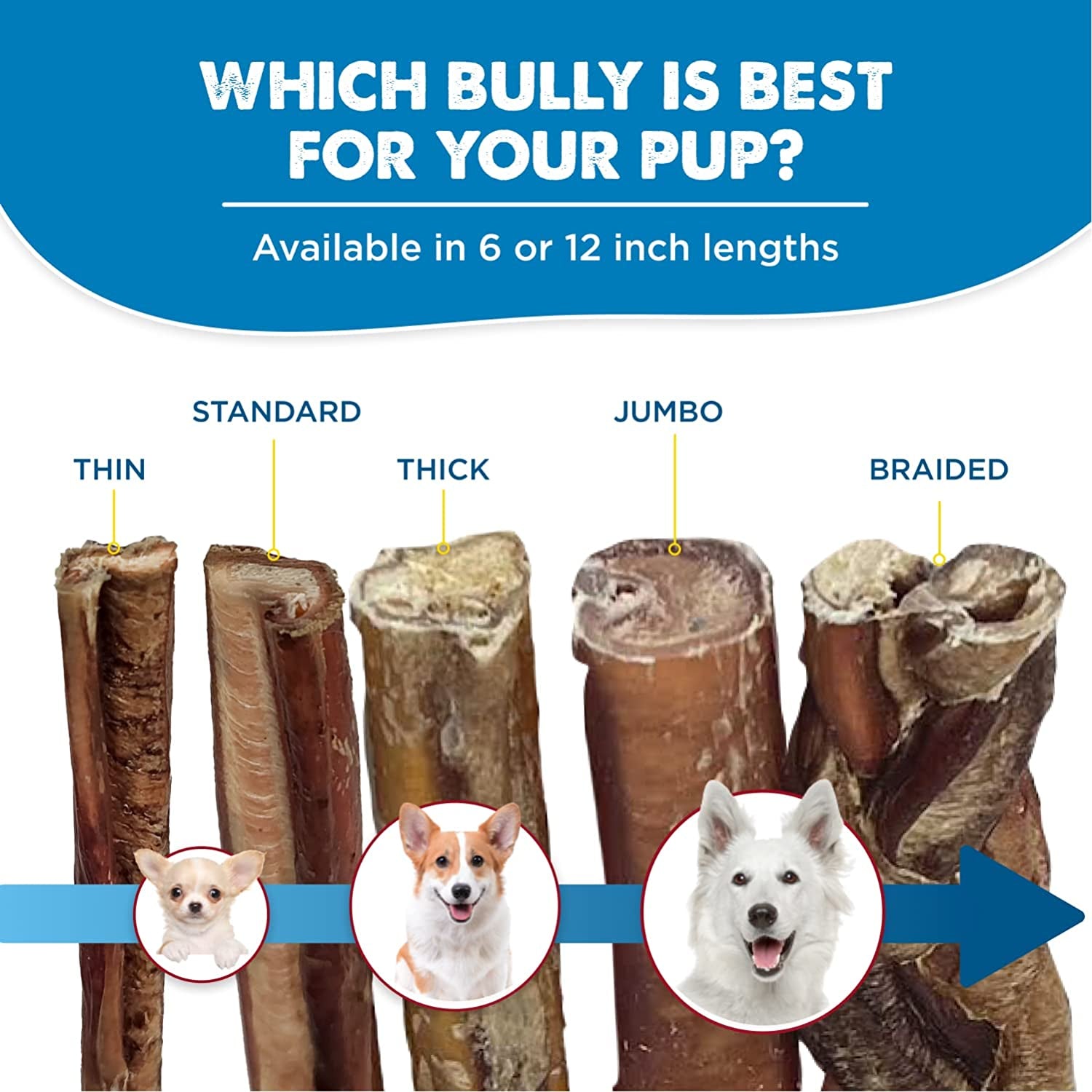 4 Inch All-Natural Bully Sticks for Dogs - 4” Fully Digestible, 100% Grass-Fed Beef, Grain and Rawhide Free | 8 Oz