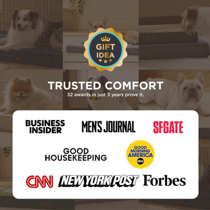 Dog Bed Medium Size Dog - Orthopedic Flat Puppy Beds with Removable Washable Cover, Egg Crate Foam Pet Mat, Suitable for Pet up to 35 Lbs