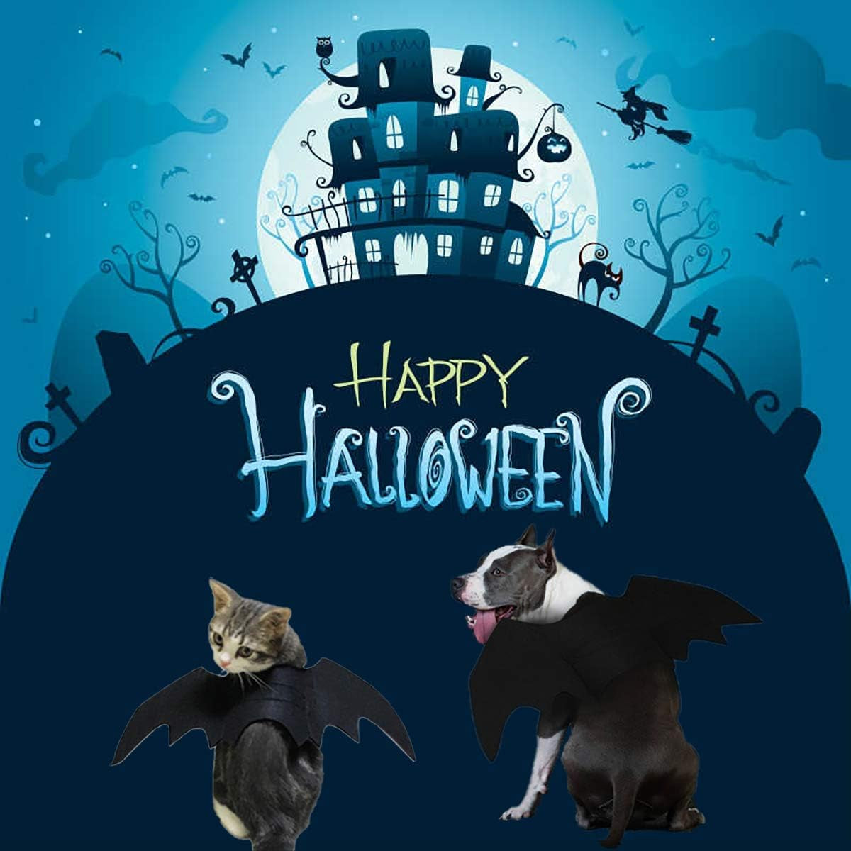 Halloween Bat Wings Pet Costume,Party Dress up Funny Cool Apparel,For Cat and Small Medium Large Dog(M)