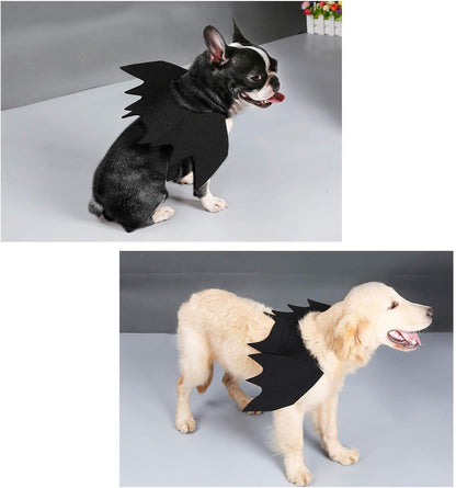 Halloween Bat Wings Pet Costume,Party Dress up Funny Cool Apparel,For Cat and Small Medium Large Dog(M)