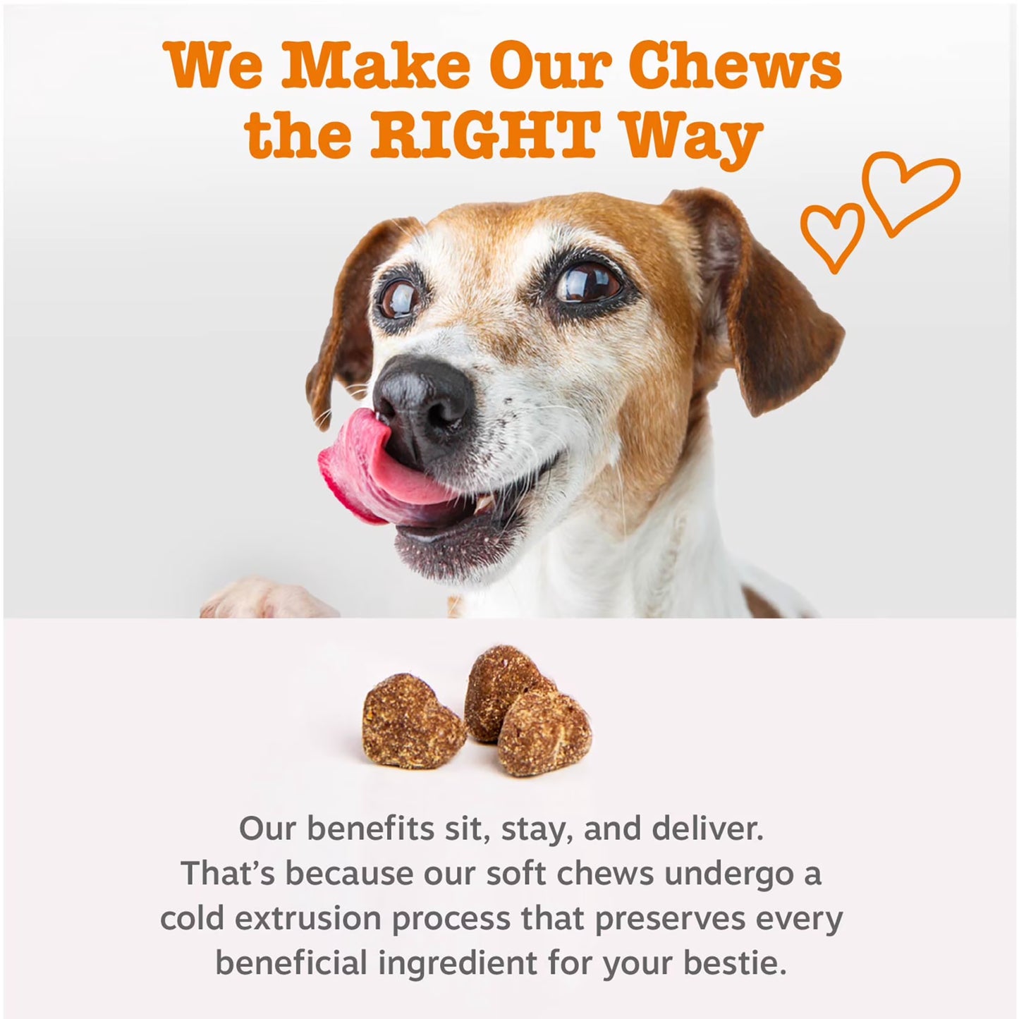 Vet Strength Pre, Post & Probiotic Bites Chicken & Harvest Vegetables Flavor Dog Supplement, 90 Count