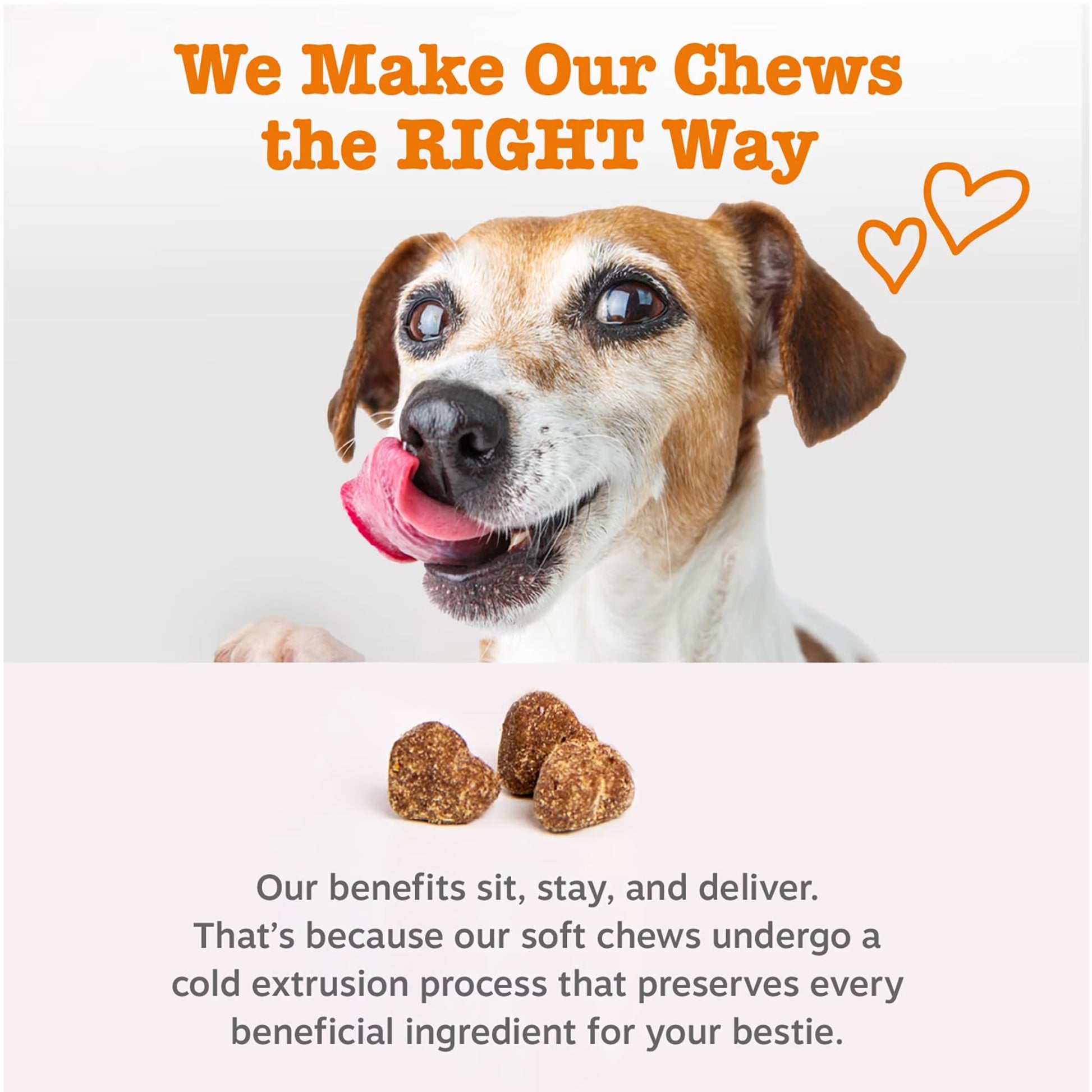 Vet Strength Pre, Post & Probiotic Bites Chicken & Harvest Vegetables Flavor Dog Supplement, 90 Count