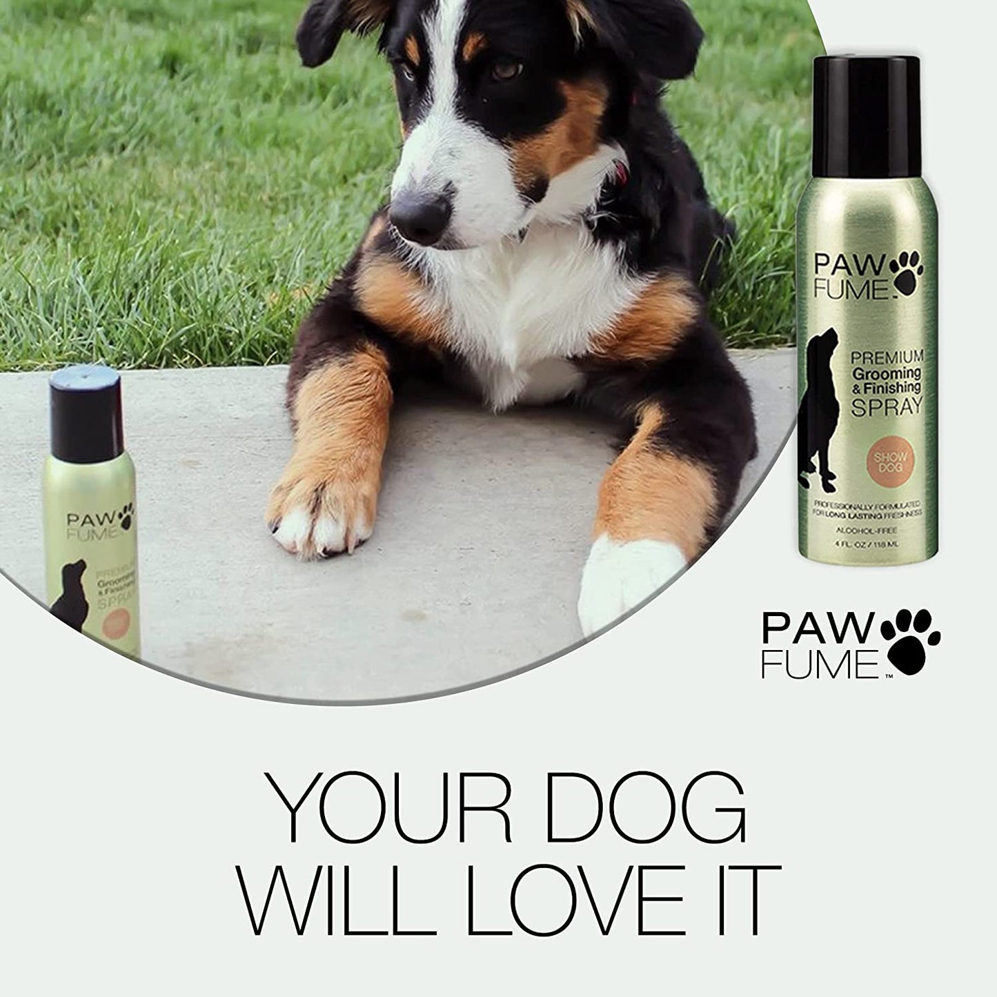 Grooming Spray Dog Spray Deodorizer Perfume for Dogs - Dog Cologne Spray Long Lasting Dog Sprays - Dog Perfume Spray Long Lasting after Bath- Dog Deodorizing Spray (Show Dog)