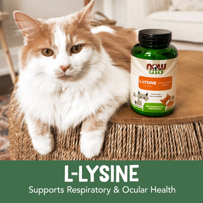 Pet Health, L-Lysine Supplement, Powder, Formulated for Cats, NASC Certified, 8-Ounce