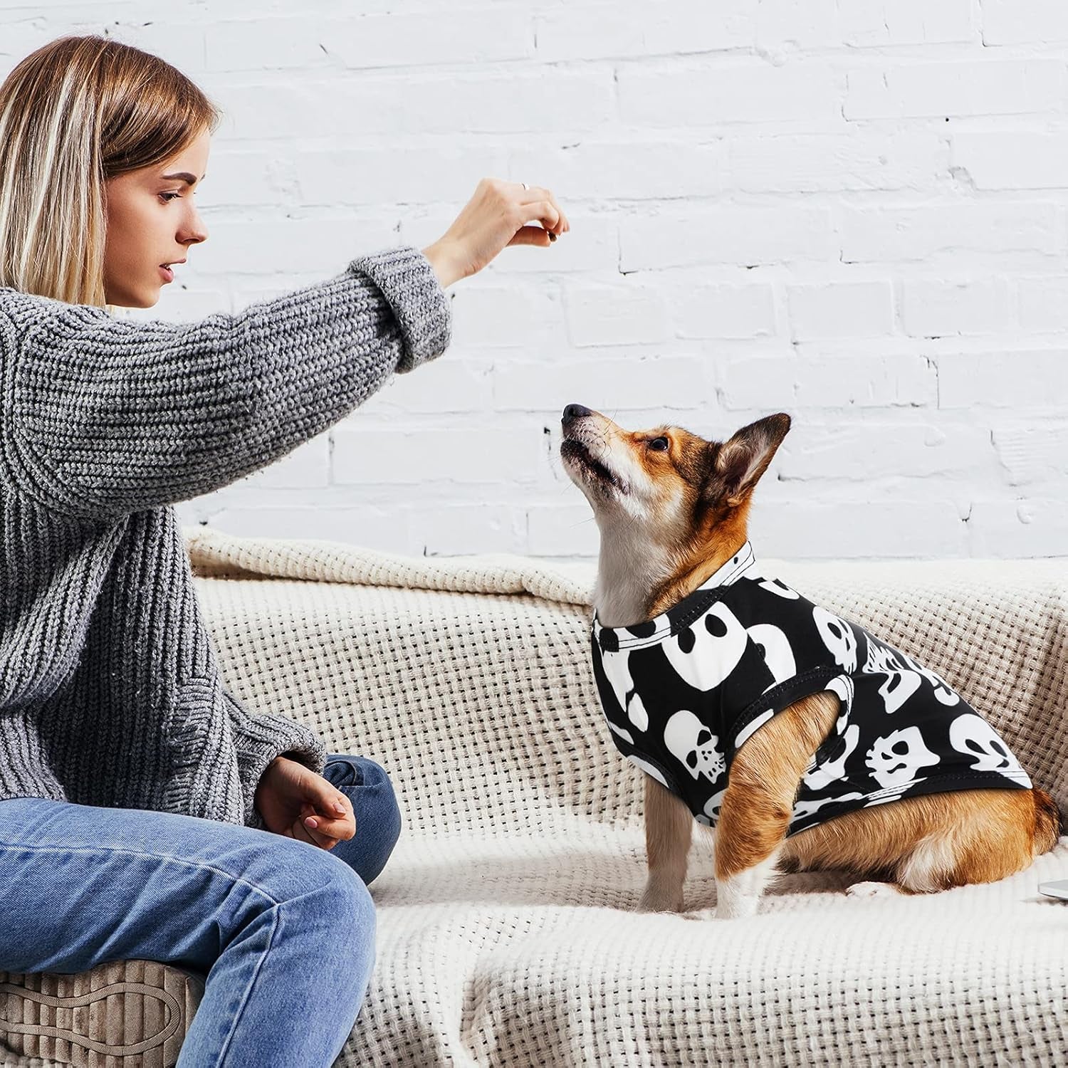 4 Pieces Halloween Dog Shirt Dog Clothes Pet Costume Pumpkin Ghosts Bats Skeletons Printed Puppy Apparel Clothes for Halloween Parties(M/ 5—7Lbs)