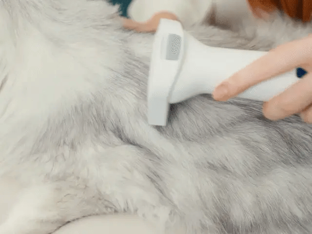 Oneisall pet grooming kit includes 7 proven grooming tools, Blue.
