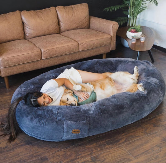 Woman lying on a large blue pet bed with a dog, surrounded by a brown sofa and a small round table with plants.