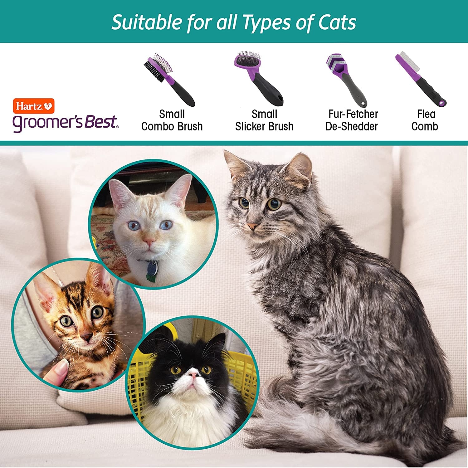 , Groomer'S Best Small Slicker Brush for Cats and Small Dogs, Black/Violet, 1 Count