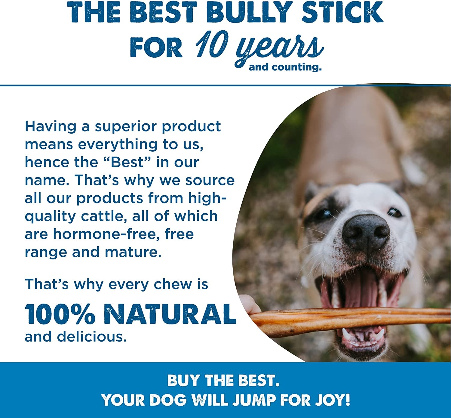 4 Inch All-Natural Bully Sticks for Dogs - 4” Fully Digestible, 100% Grass-Fed Beef, Grain and Rawhide Free | 8 Oz