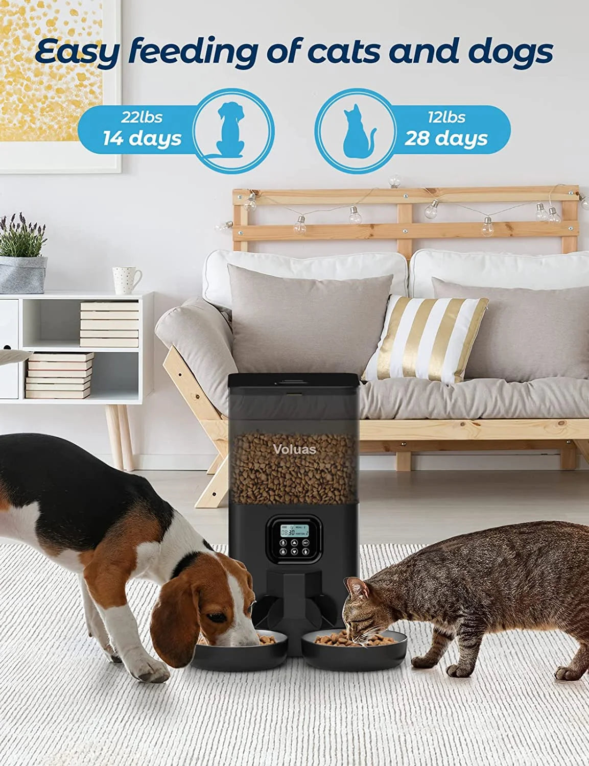 Automatic Cat Feeders for Two Cats, Double Pet Feeder with 2 Stainless Steel Bowls,6L Timed Cat Feeder with Memory Function, Pet Food Dish