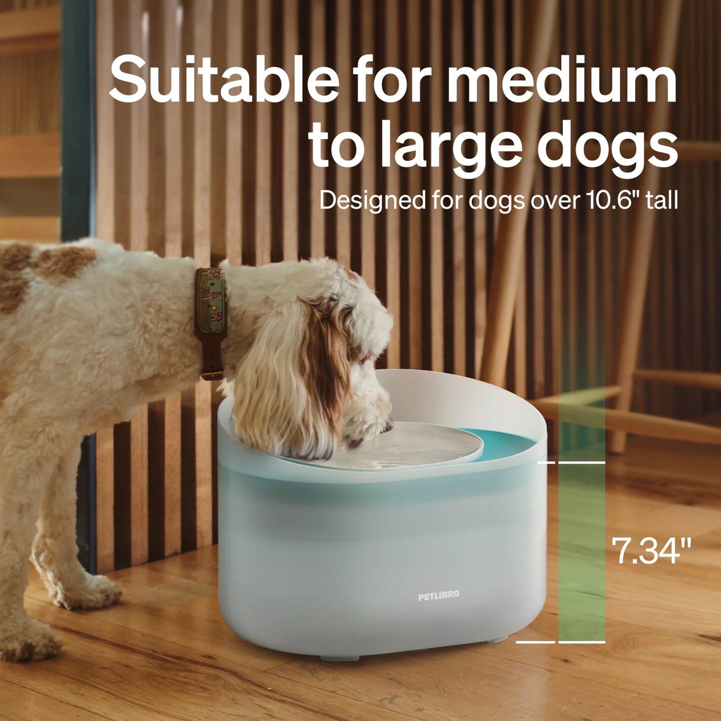 270Oz/2.1Gal/8L Capsule Dog Water Fountain – Anti-Splash, Super Quiet Dispenser for Medium to Large Dogs, Ideal for Dogs, and Multi-Pet Homes