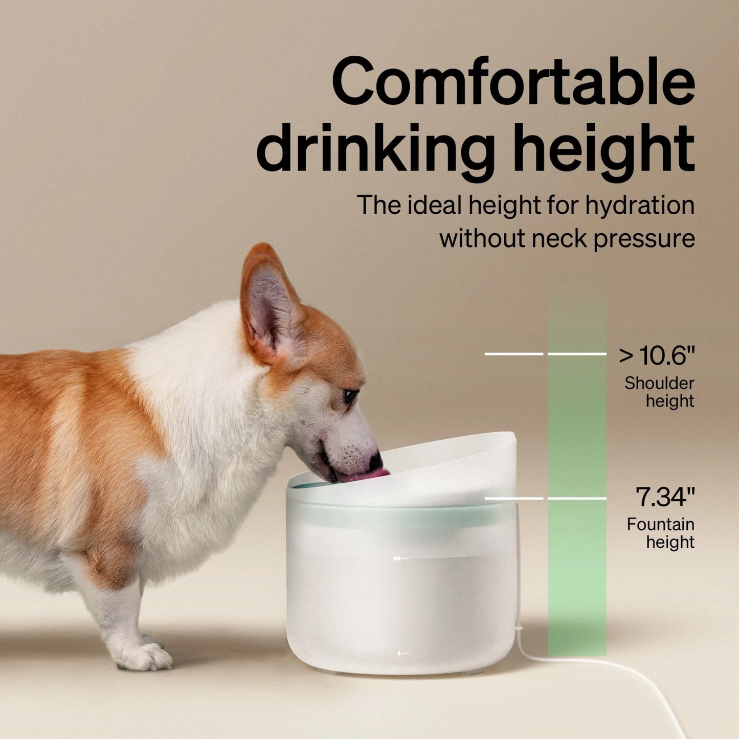 270Oz/2.1Gal/8L Capsule Dog Water Fountain – Anti-Splash, Super Quiet Dispenser for Medium to Large Dogs, Ideal for Dogs, and Multi-Pet Homes