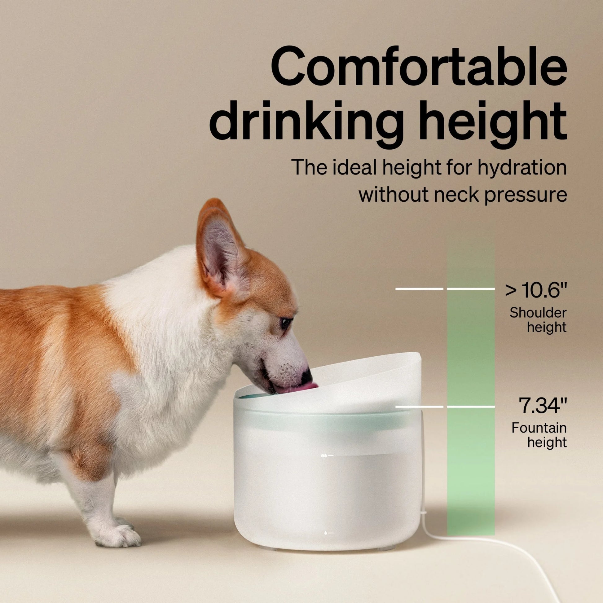 270Oz/2.1Gal/8L Capsule Dog Water Fountain – Anti-Splash, Super Quiet Dispenser for Medium to Large Dogs, Ideal for Dogs, and Multi-Pet Homes