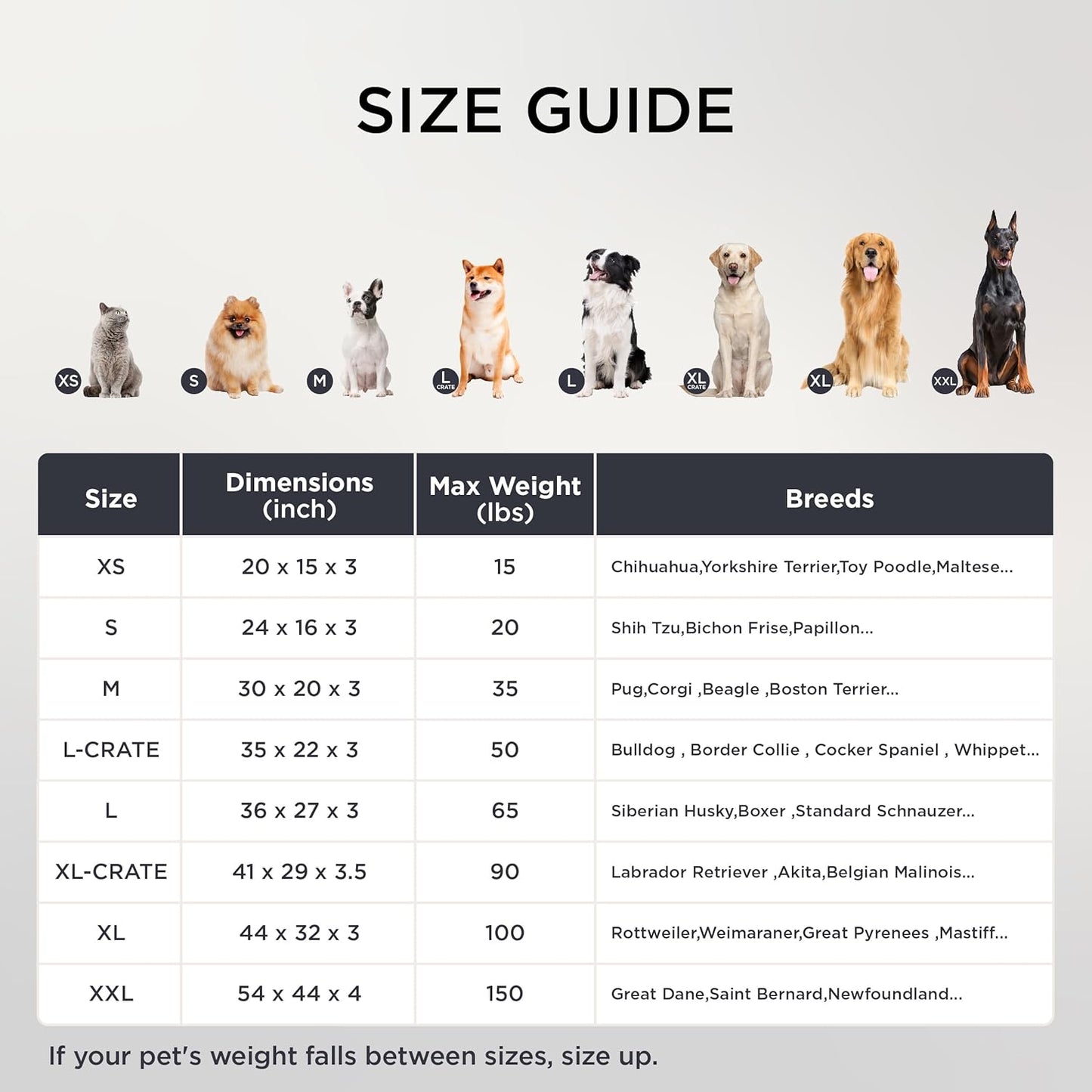 Dog Bed Medium Size Dog - Orthopedic Flat Puppy Beds with Removable Washable Cover, Egg Crate Foam Pet Mat, Suitable for Pet up to 35 Lbs