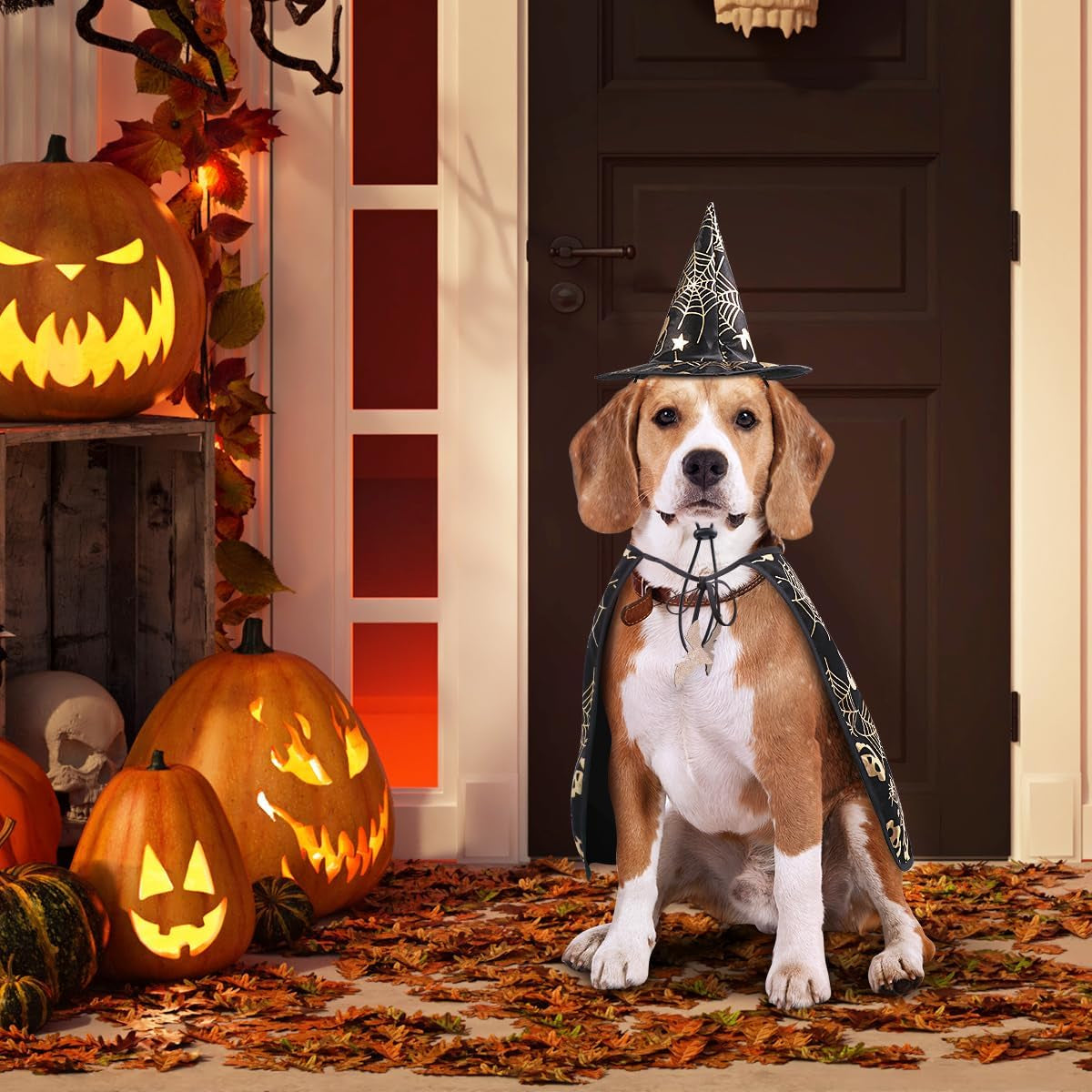 Pet Halloween Costumes Cape with Wizard Hat Dog Cat Halloween Apparels (Size L)