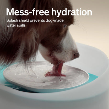 270Oz/2.1Gal/8L Capsule Dog Water Fountain – Anti-Splash, Super Quiet Dispenser for Medium to Large Dogs, Ideal for Dogs, and Multi-Pet Homes