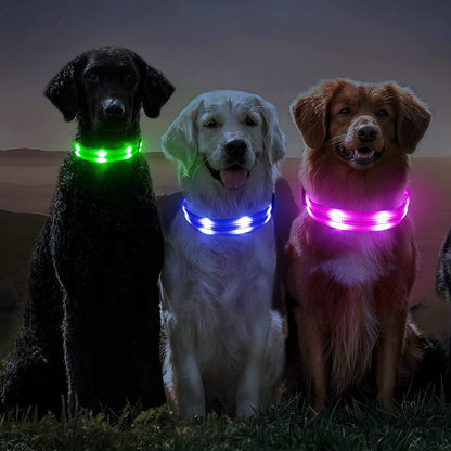 Light up Dog Collars - USB Rechargeable Reflective Glowing Puppy Collar, Adjustable LED Pet Collar Lights for Night Dog Walking (Large, Blue)