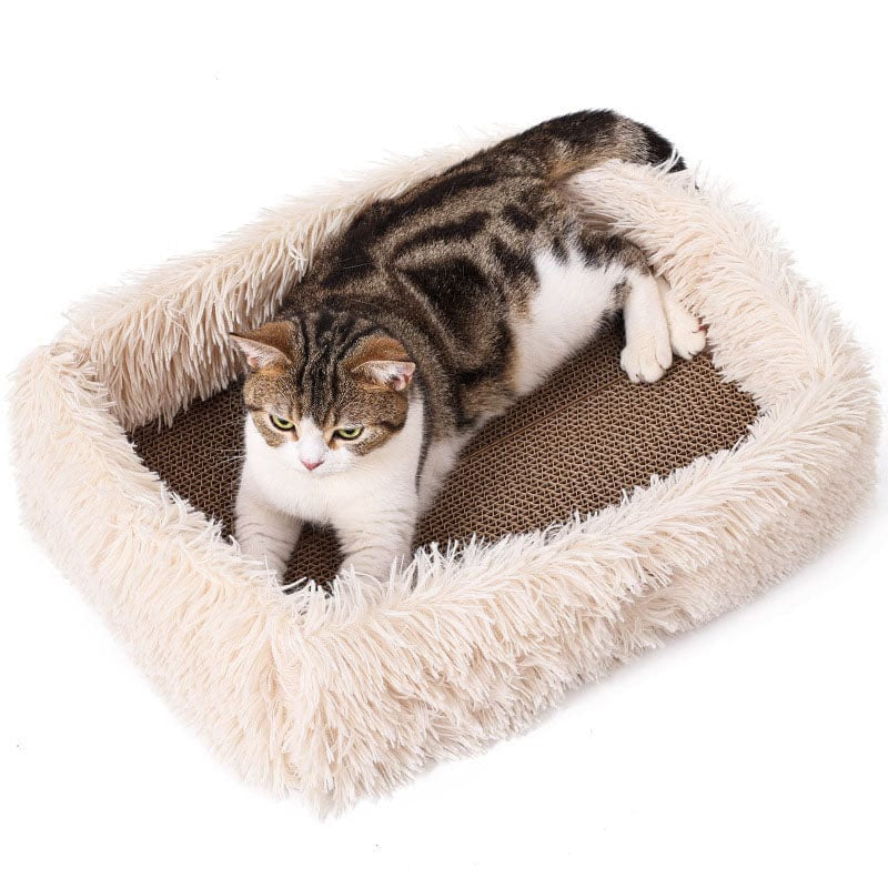 2-In-1 Cat Scratcher Bed