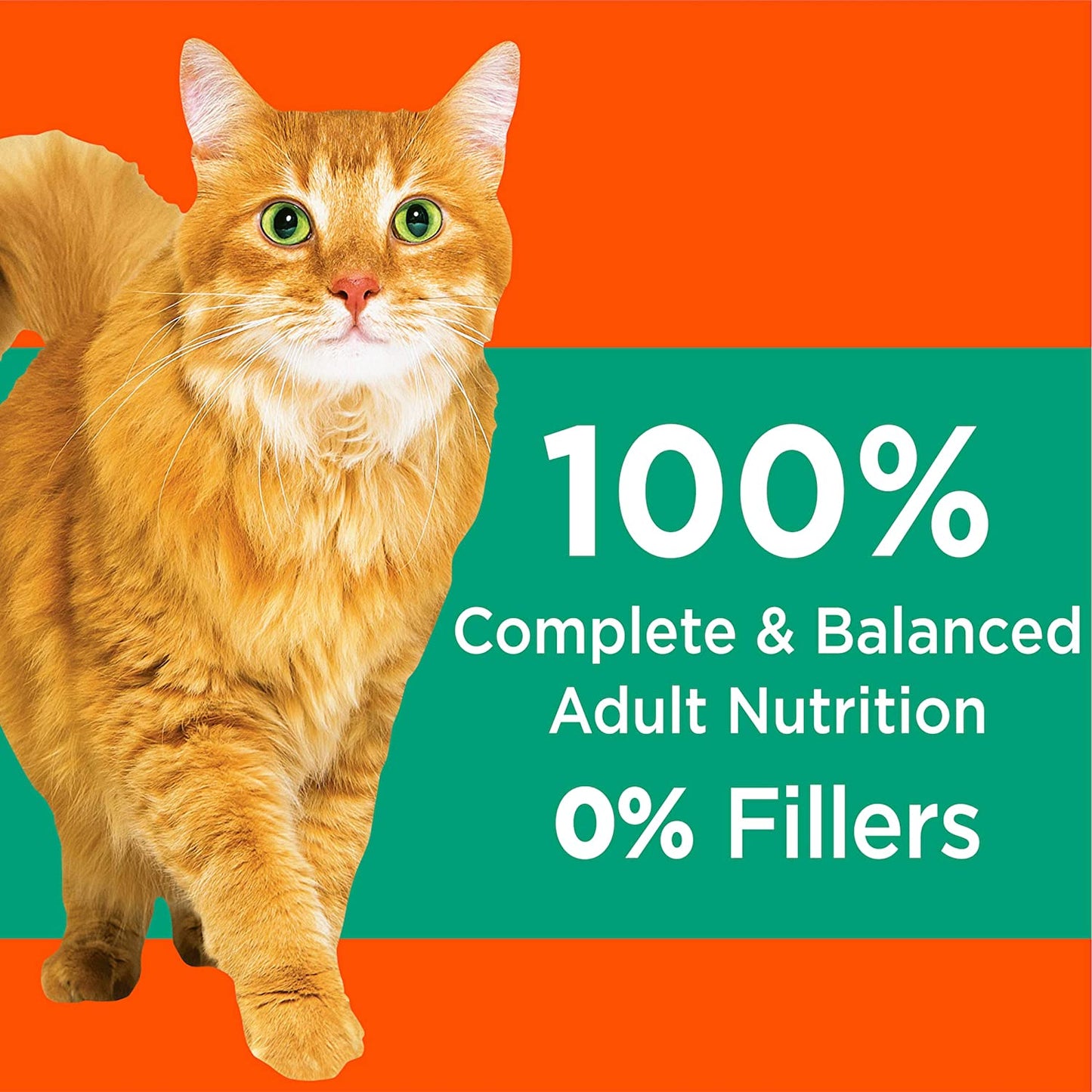 PROACTIVE HEALTH Adult Hairball Care Dry Cat Food with Chicken and Salmon Cat Kibble, 3.5 Lb. Bag