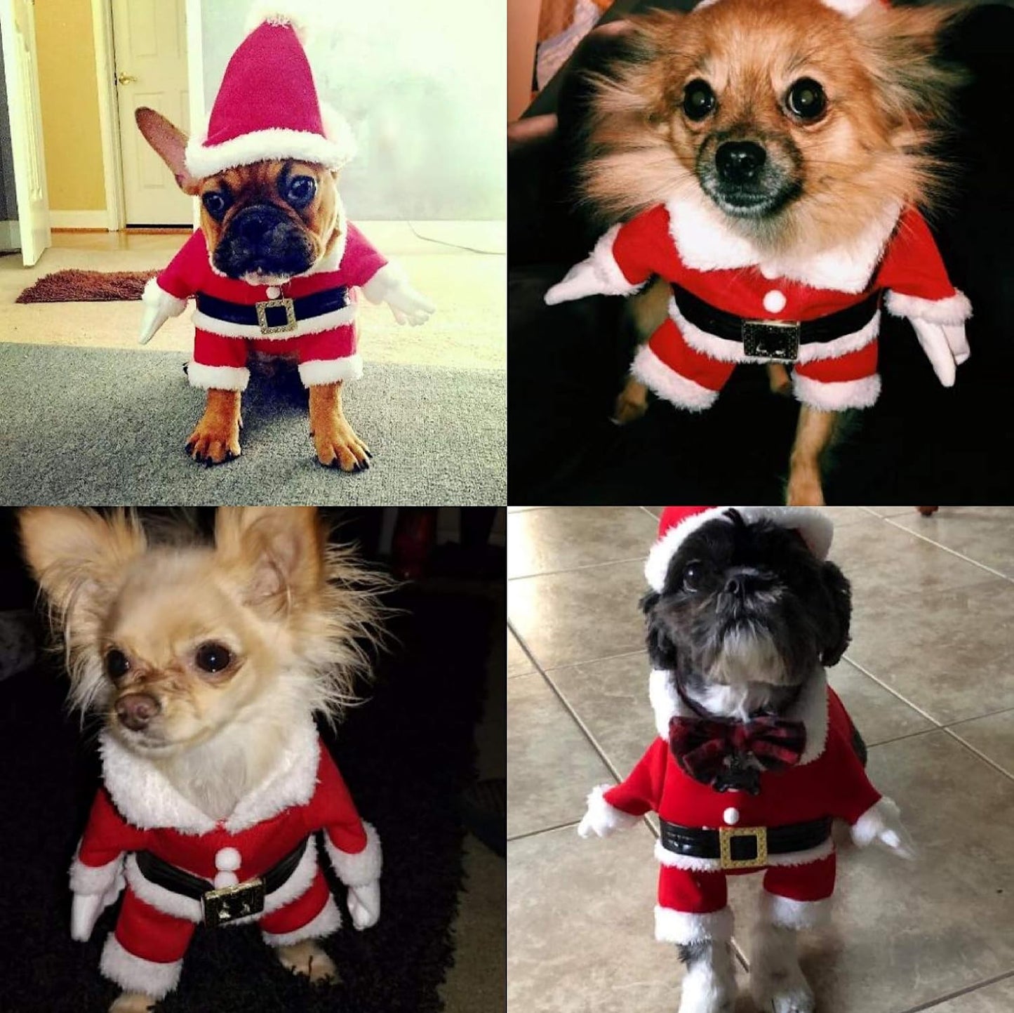 Dog Christmas Costumes with Hat Dog Santa Costume Dog Xmas Costume for Small Dog Cat Puppy (Red,M)
