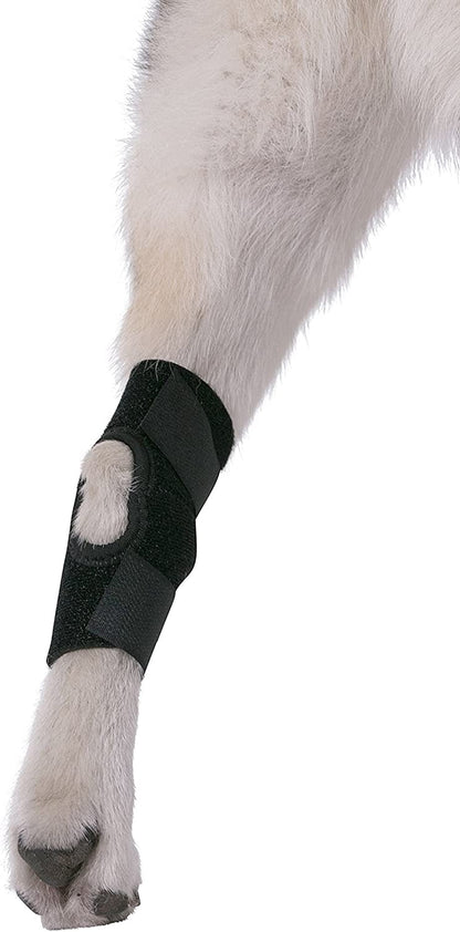 ® Dog Canine Rear Hock Joint Brace Compression Wrap with Straps Dog for Back Leg Protects Wounds. Heals Prevents Injuries and Sprains Helps with Loss of Stability Caused by Arthritis (Small)