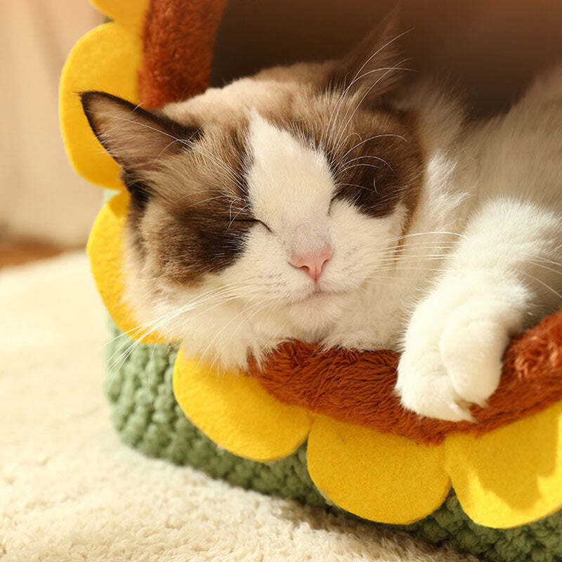 Cute Cat House - Sunflower Plush Cat House