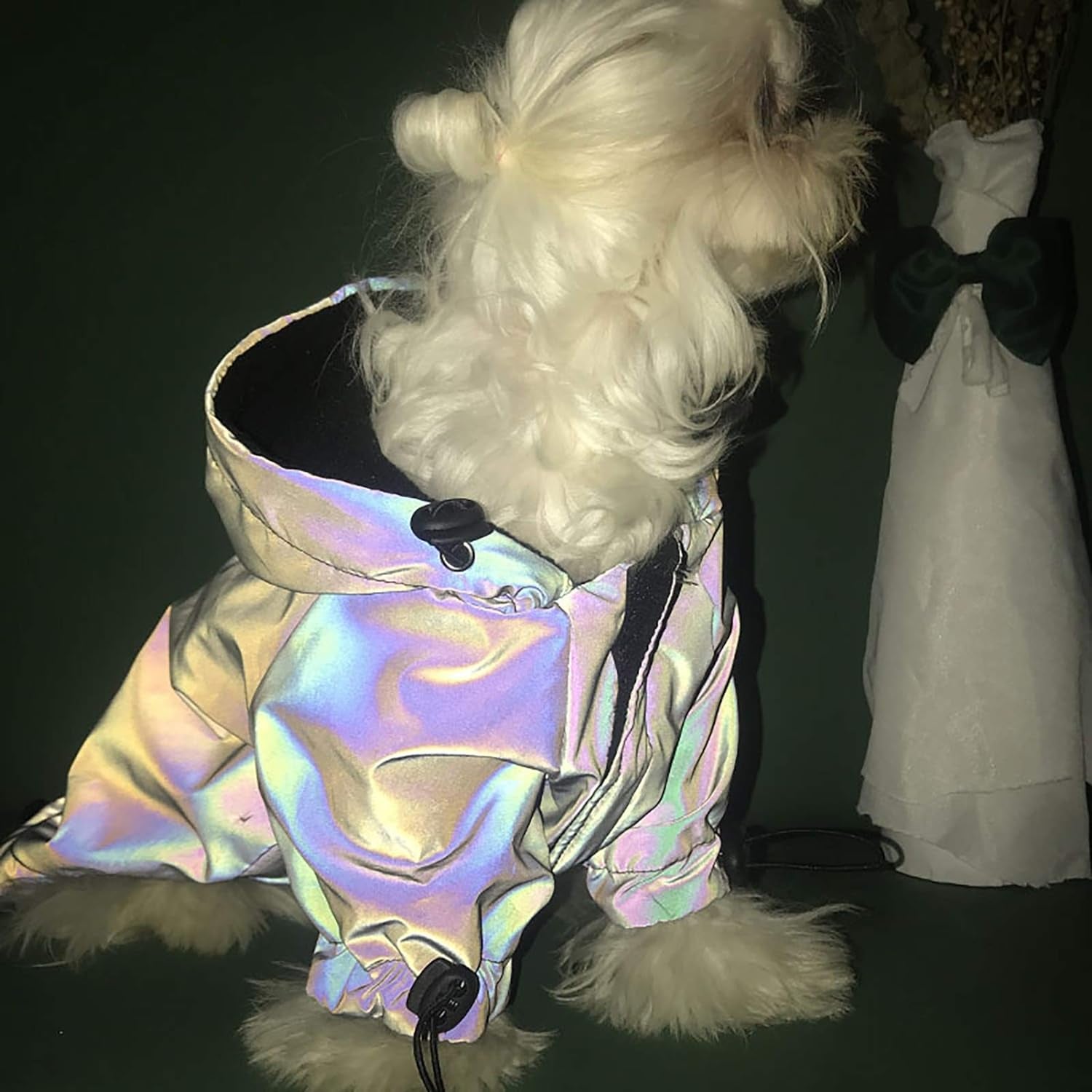 Dog Jacket Reflective Thick Warm Keeping Polyester Hooded Glow in the Dark Dog Coat Pet Supplies XXL